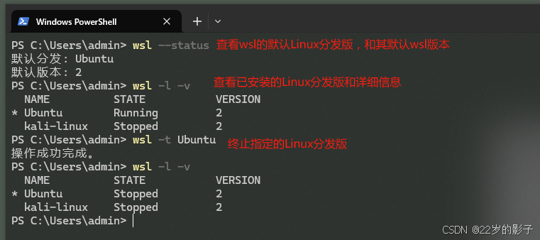 Comfyui-755187-20241115151130891-940570131 windows11 安装Ubuntu子系统全流程