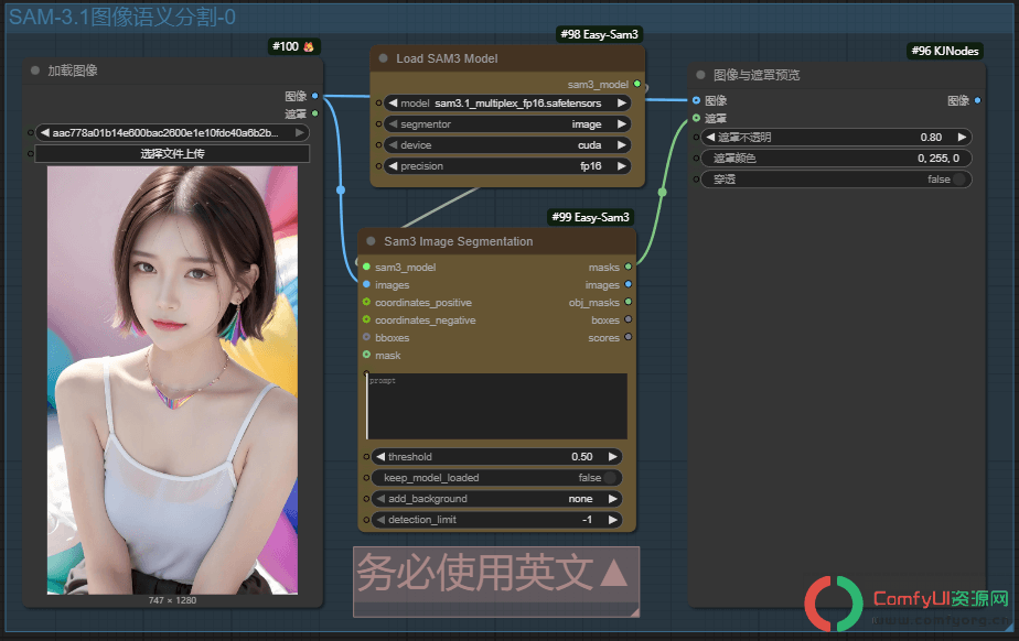 SAM3.1实时视频与图像实现万物分割