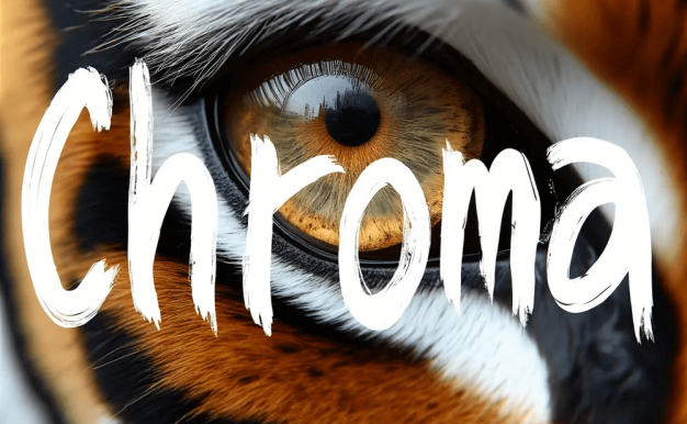 Chroma 模型家族正式发布:基于 FLUX.1-schnell,8.9亿参数开源无限制,4大分支适配不同需求