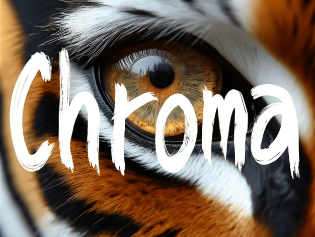 Chroma 模型家族正式发布:基于 FLUX.1-schnell,8.9亿参数开源无限制,4大分支适配不同需求